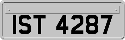IST4287