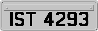 IST4293