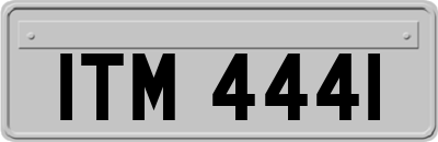 ITM4441