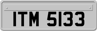 ITM5133