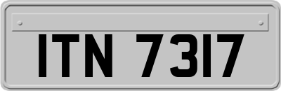 ITN7317