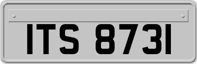 ITS8731