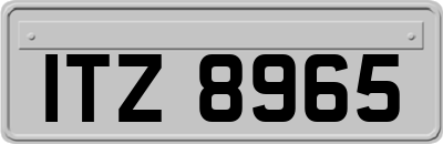 ITZ8965