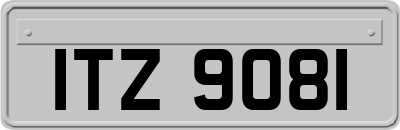 ITZ9081