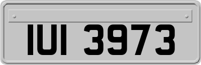IUI3973