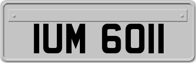 IUM6011