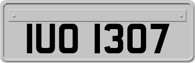IUO1307
