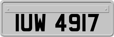 IUW4917