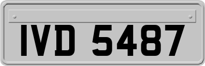 IVD5487