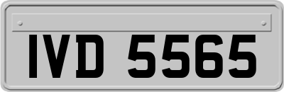 IVD5565
