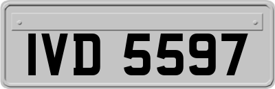 IVD5597