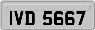 IVD5667