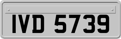 IVD5739