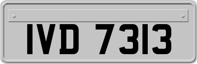 IVD7313