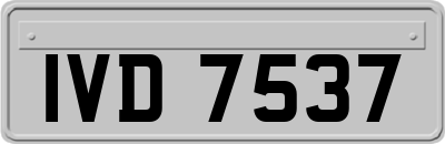 IVD7537