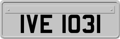 IVE1031