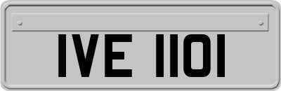 IVE1101