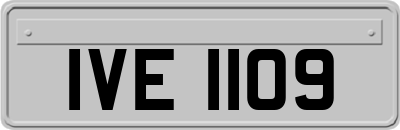 IVE1109