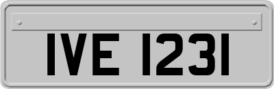 IVE1231
