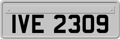 IVE2309