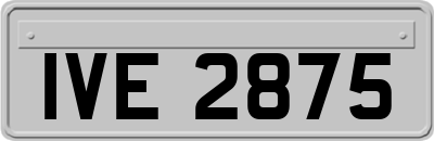 IVE2875