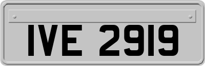 IVE2919
