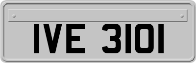IVE3101