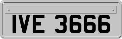IVE3666