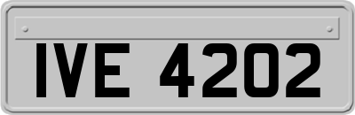IVE4202