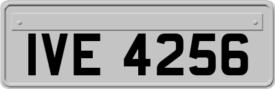 IVE4256
