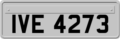IVE4273