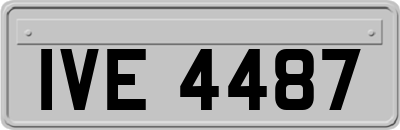 IVE4487