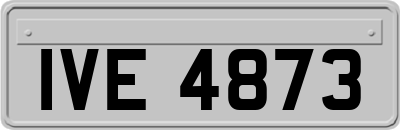IVE4873