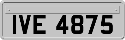 IVE4875