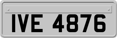 IVE4876