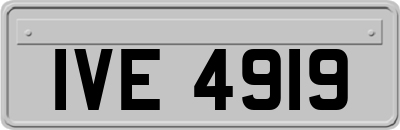IVE4919