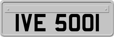 IVE5001