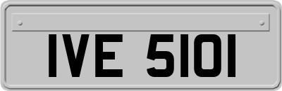 IVE5101