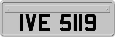 IVE5119