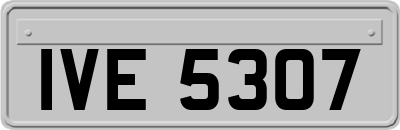 IVE5307