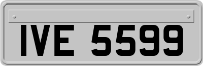 IVE5599
