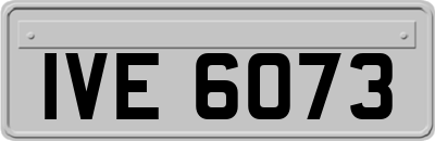 IVE6073