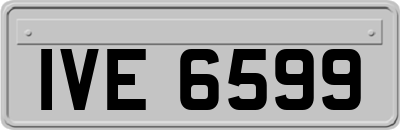IVE6599