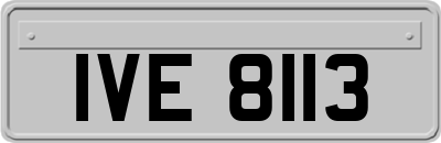 IVE8113