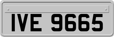IVE9665