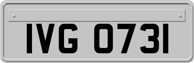 IVG0731