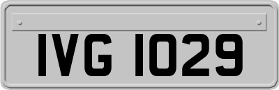 IVG1029