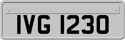 IVG1230