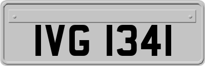 IVG1341