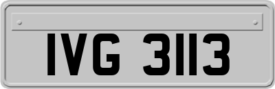 IVG3113